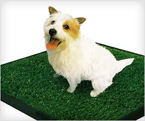 indoor pet potty trainer pad