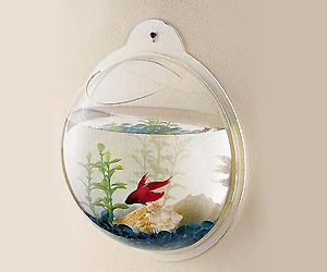 Wall mount decorative Fish Bowl